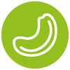 Cashew