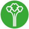 Celery