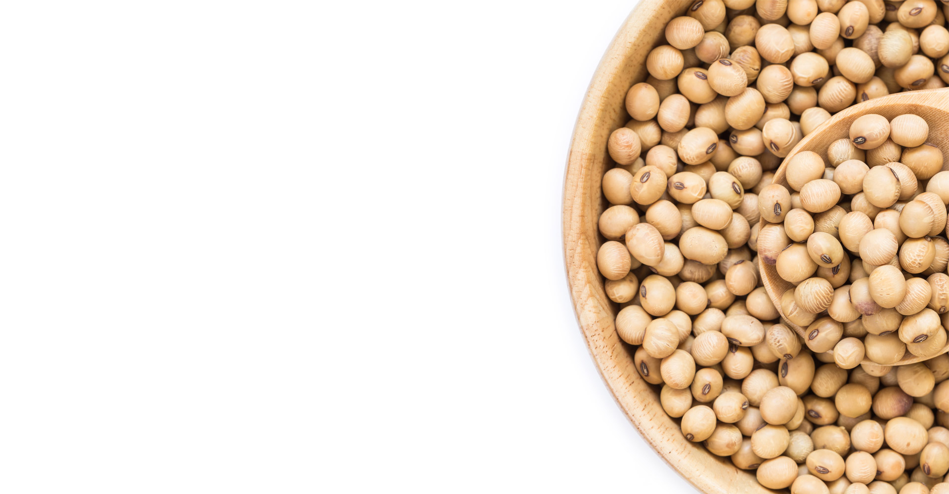 Soy
